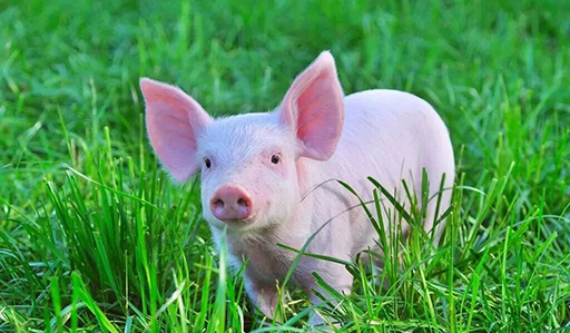 1761890990571505.jpg 微信图片_2025-10-21_145115_029.jpg