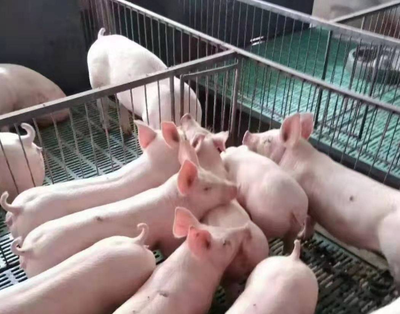 1768613036123690.png 百度1.png