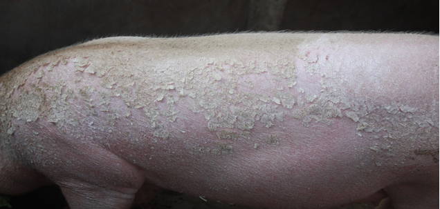 1775808012119417.png 1775808012119417.png