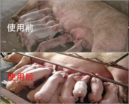 1775808074153365.png dcd265bf49ff40aff494f9ff6363d97f.png